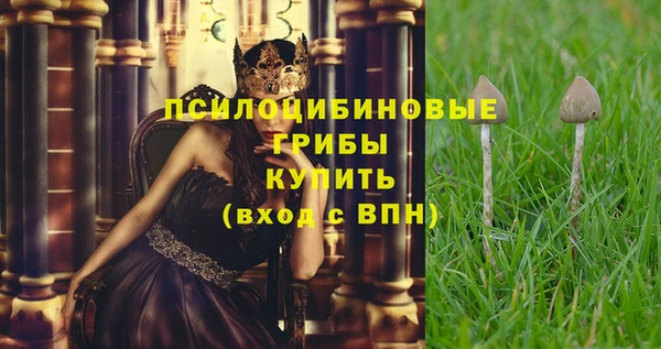 a pvp Беломорск